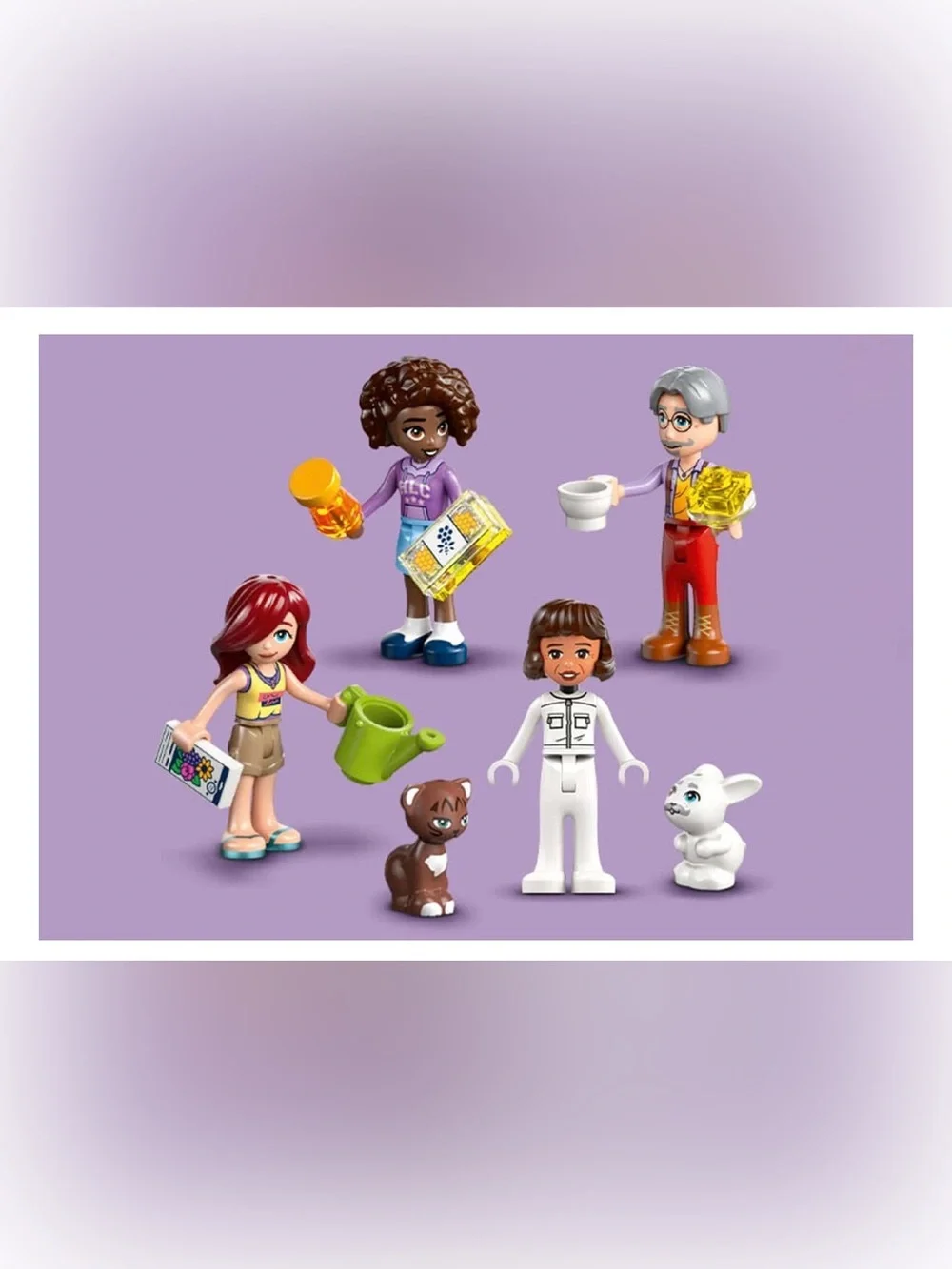 LEGO Friends Beekeepers' House and Flower Garden